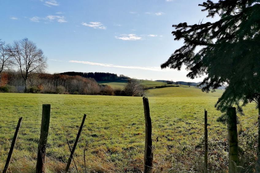 Appartement mit Terrasse - foto 31