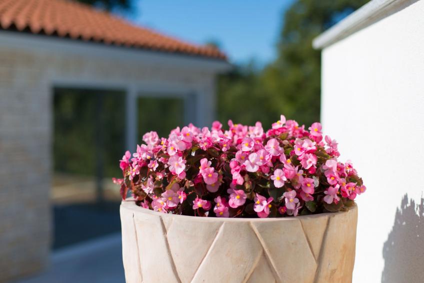 Villa "Adria" mit Garten, Grill und Terrasse - foto 37