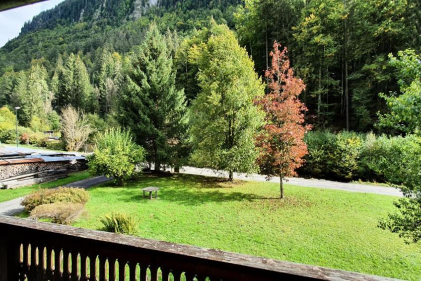 Chalets à Montriond - foto 17