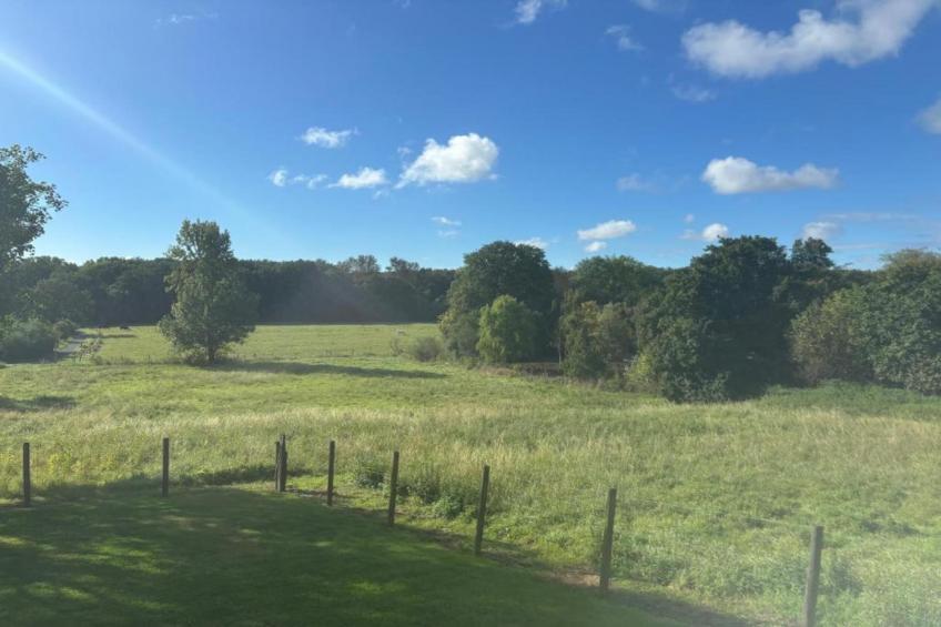 Petite Gite - foto 39