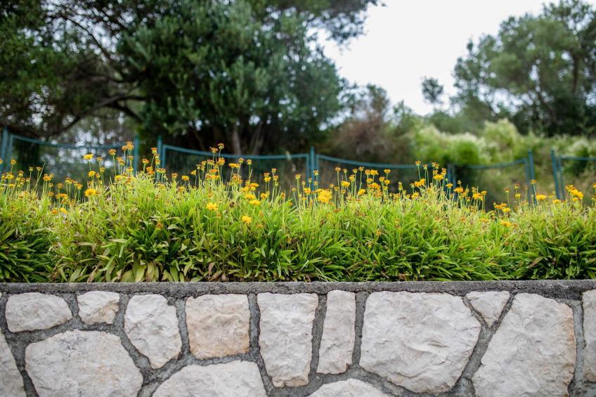 Guest House Villa Anggela - Classic Double room with Balcony and Sea View (BR1) - foto 16