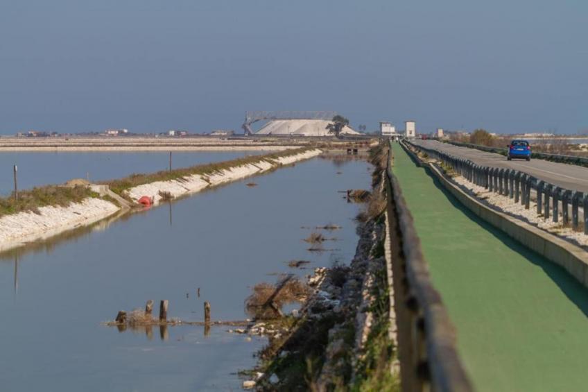 Villa Bruni - foto 33