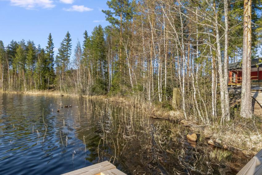 Järven idylli - foto 3