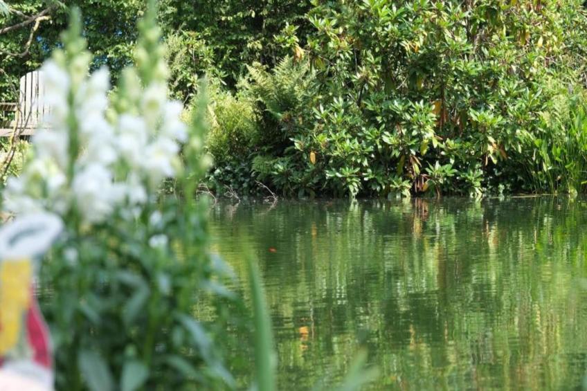 Vakantiepark Hessenheem 7 - foto 25