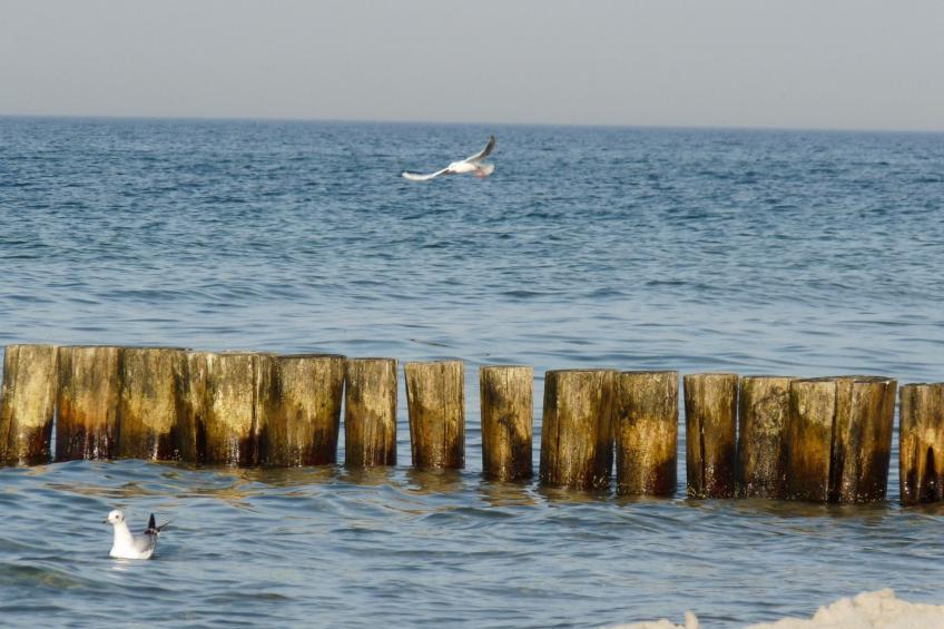 Janet Ratschkowski - foto 41