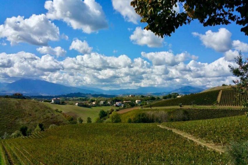 Apartment Peperoncino - foto 30