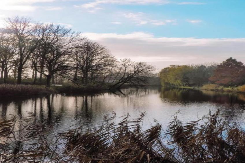 Resort Waterrijk Oesterdam 3 - foto 39