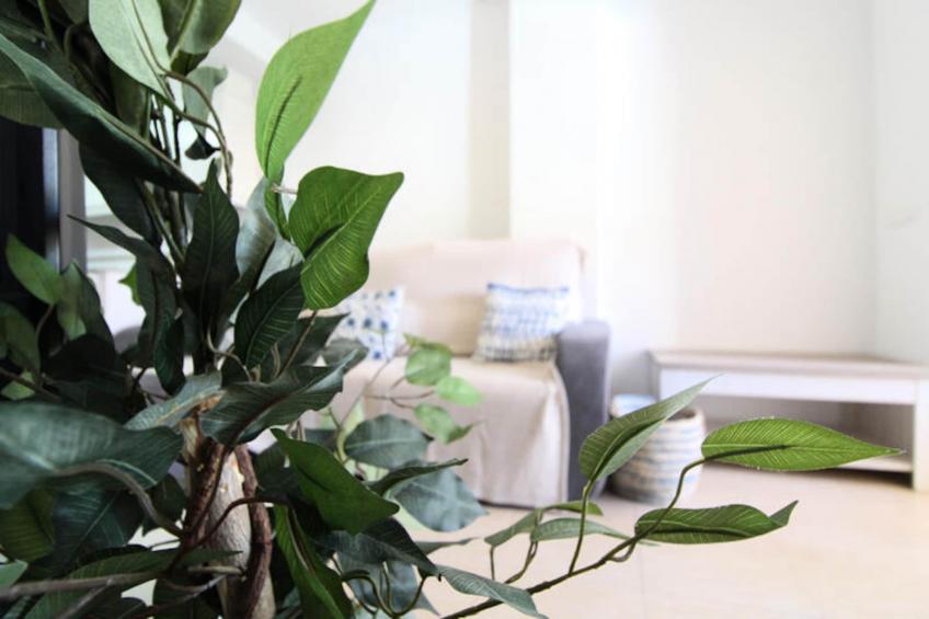 Appartements à Canet d'En Berenguer - foto 13