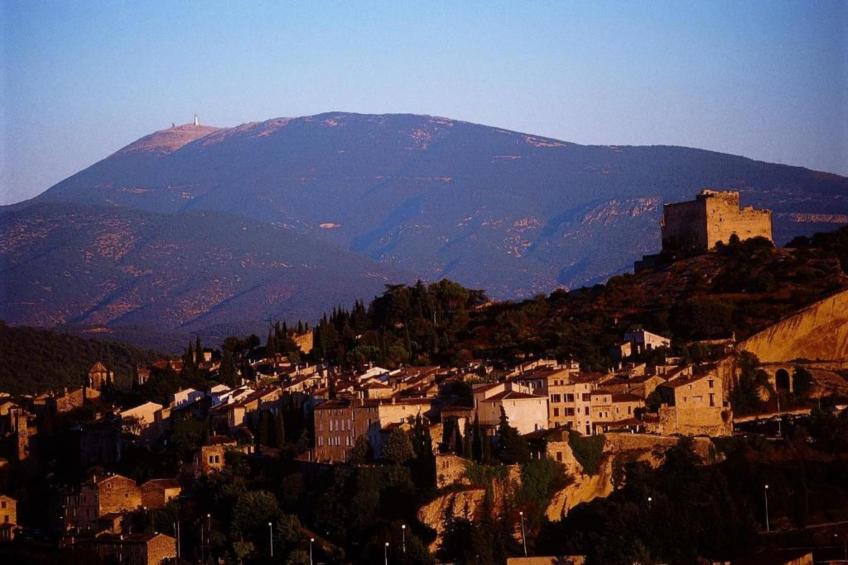 Le Grand Cedre - foto 36