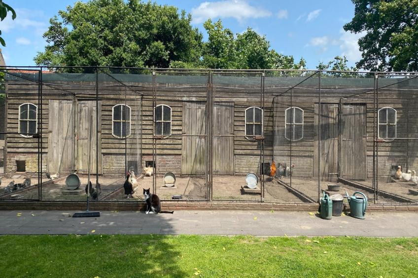 De Hofstede - foto 36