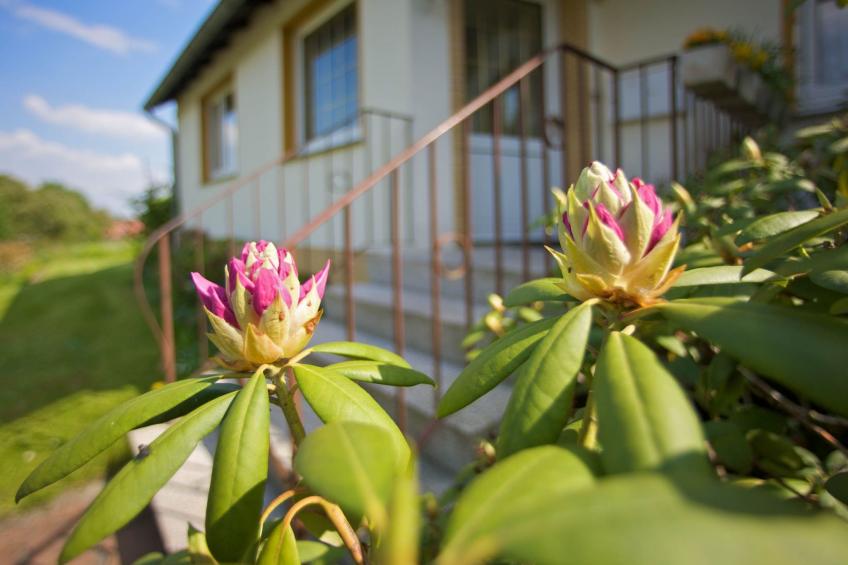 Blickweite - foto 12