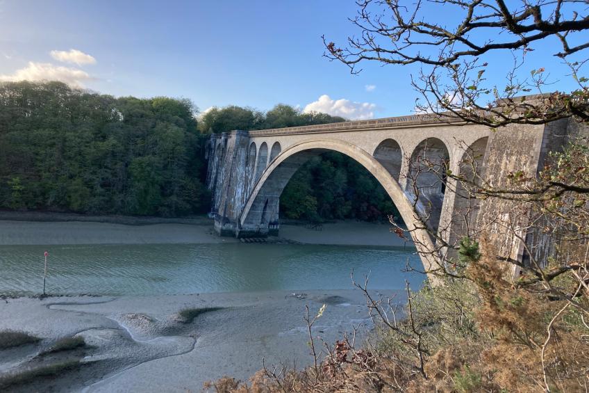 Joli gîte à Corseul - foto 36