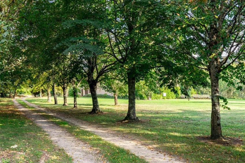 Ecolodge en Sequoia - foto 26