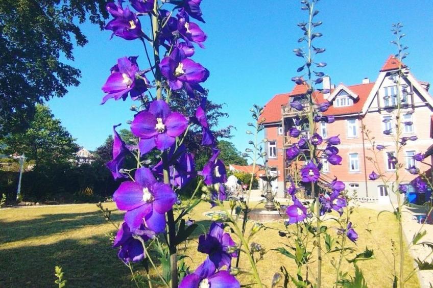 Superior Komfort Suite mit Wallbox - foto 26