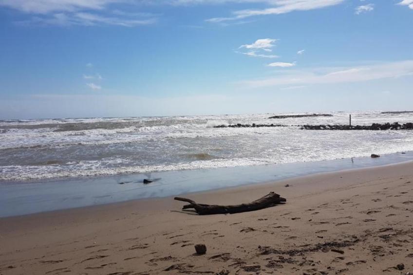 La Dune N°55 - Villa 3P6 - foto 15