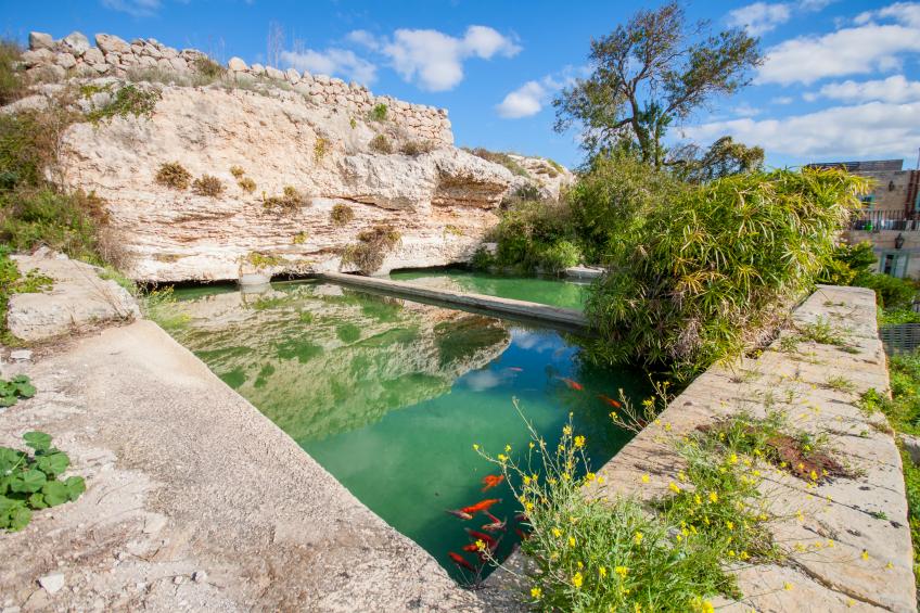 POOL & SPA - wellness VILLA St Martin - foto 29