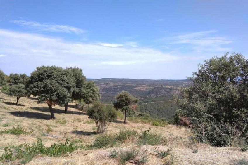 Villa Félines - foto 39