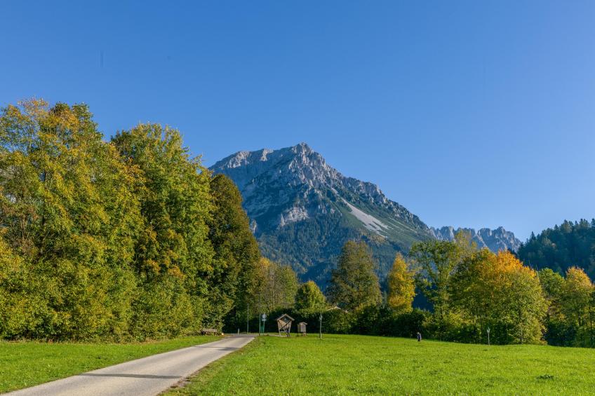 Pension Blaiken M - foto 37