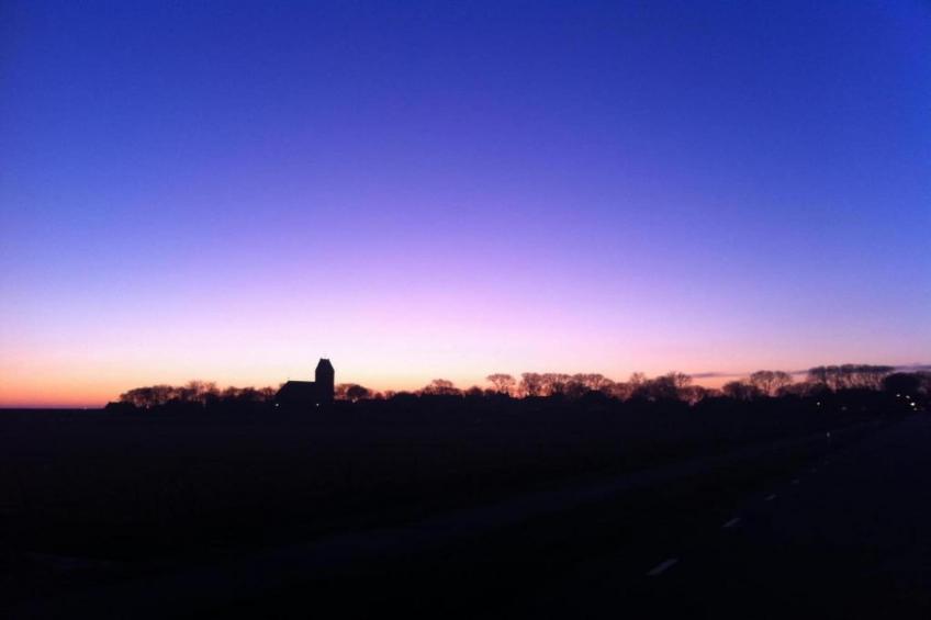 Boomhiemke - foto 16