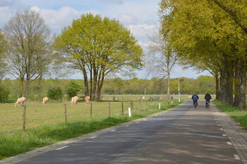 Bungalow 87 - foto 40