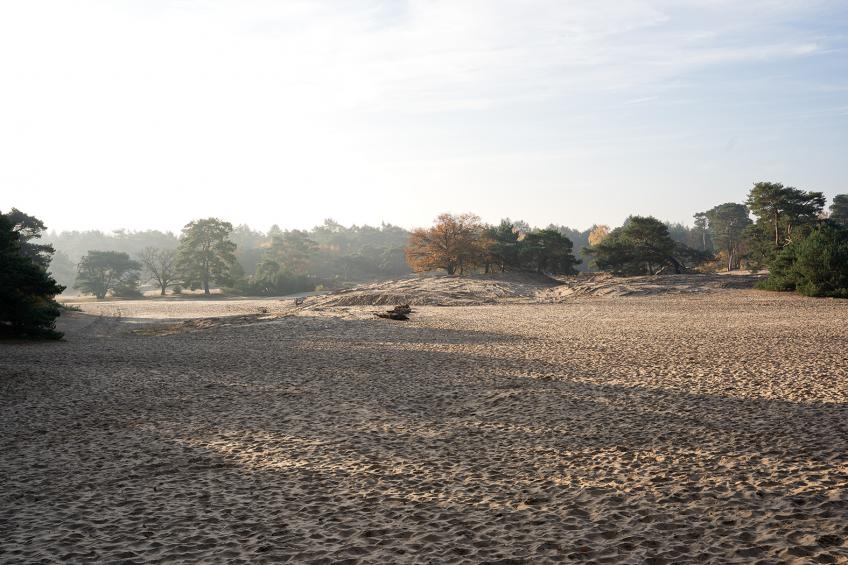 Natuurhuisje Duinpieper, 4 pers. - foto 26