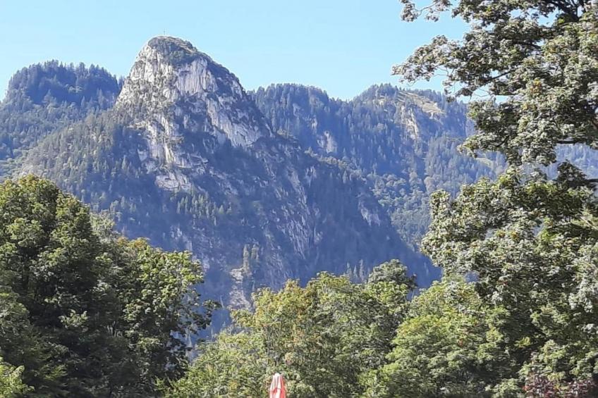 Sonnenblume - foto 29