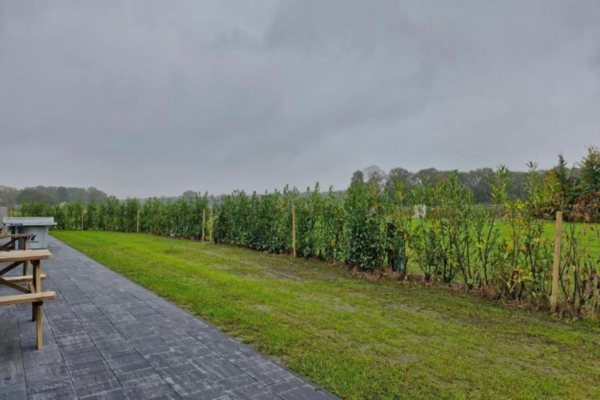 Vakantiepark Latour 3 - foto 24