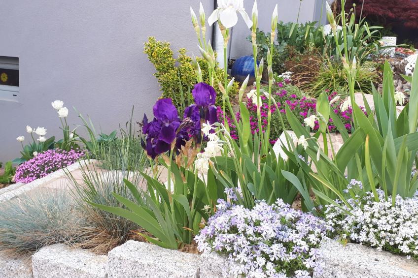 Wohnung "Terre d'Hélène" und Garten - foto 11