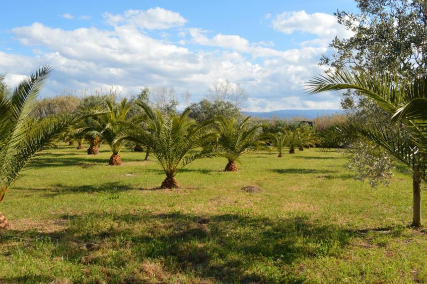'Sleeps' mit Balkon - foto 14