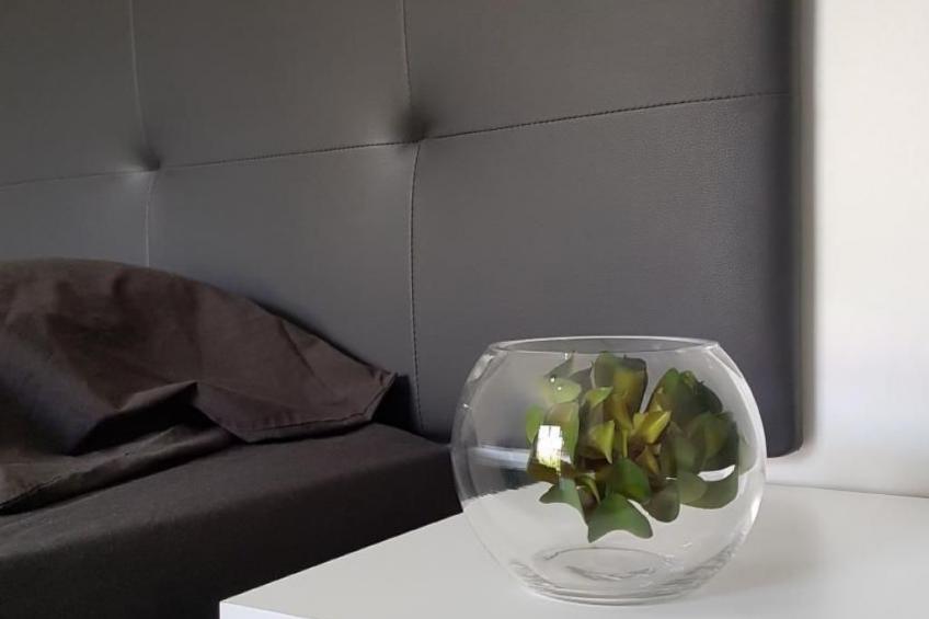 Entrevias Unterkunft und weitere Wohnungen in León - foto 16