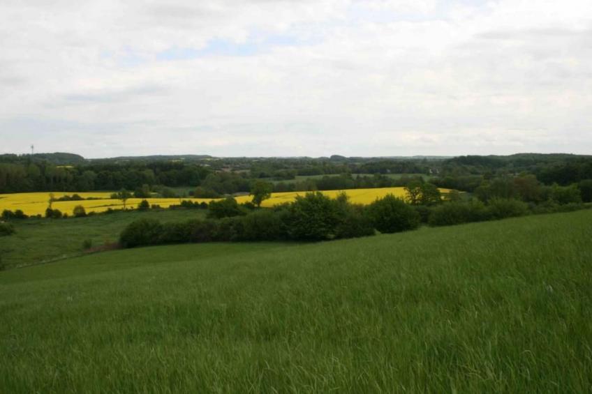 Hof Rodenkrog Fewo 2 - foto 18