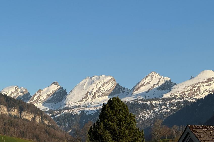 Zwinglis Fewo Klärli - foto 12