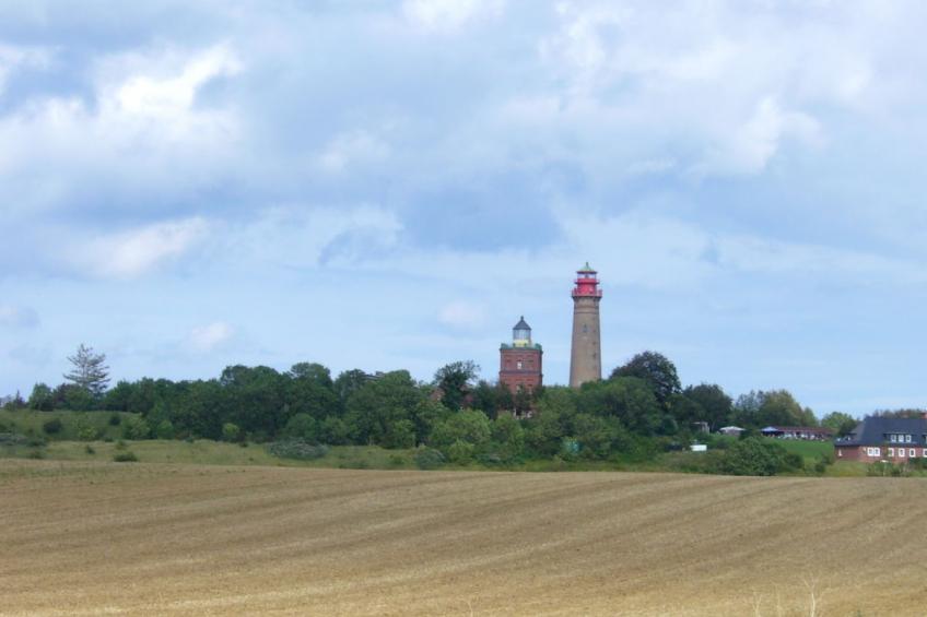 256015 - foto 18