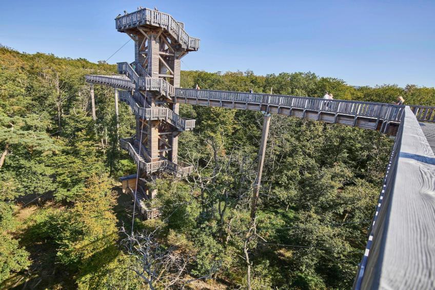 Apartment für Monteure oder Reisende - foto 30