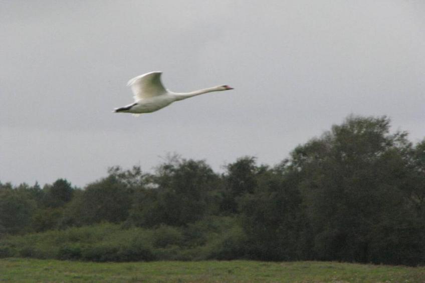 Résidence les Villas de la Baie - foto 38