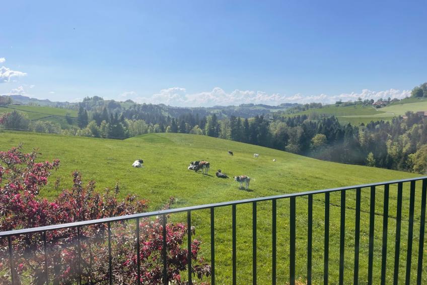 Rückzugsort mitten in der Natur - foto 7