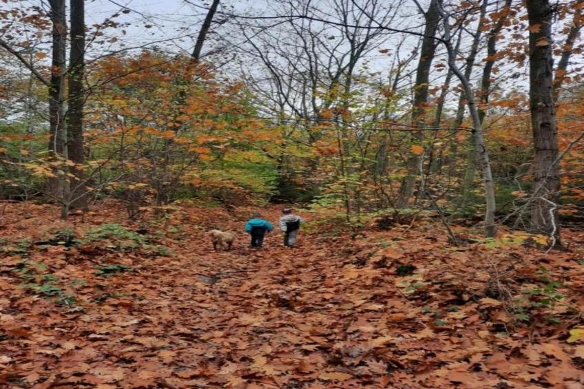 Maginifique maison de vacances pour 8 adultes à Tilf - foto 38
