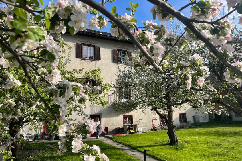 Casa Capol, (Andeer), - foto 14