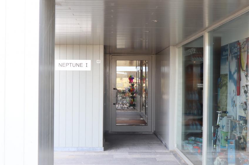 NEPTUNE60 0601GAR - foto 15