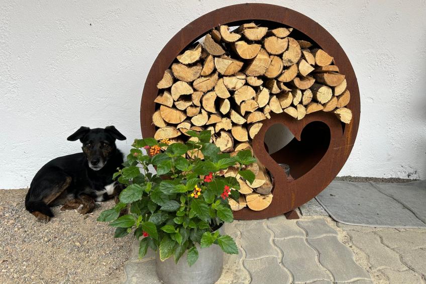 Wandlhof Ferienwohng - foto 28