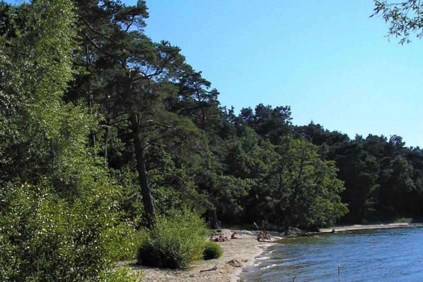 FH Godewind 60 - foto 39