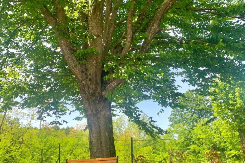 Charmante Villa mit gepflegtem Garten und beheiztem Pool - foto 36