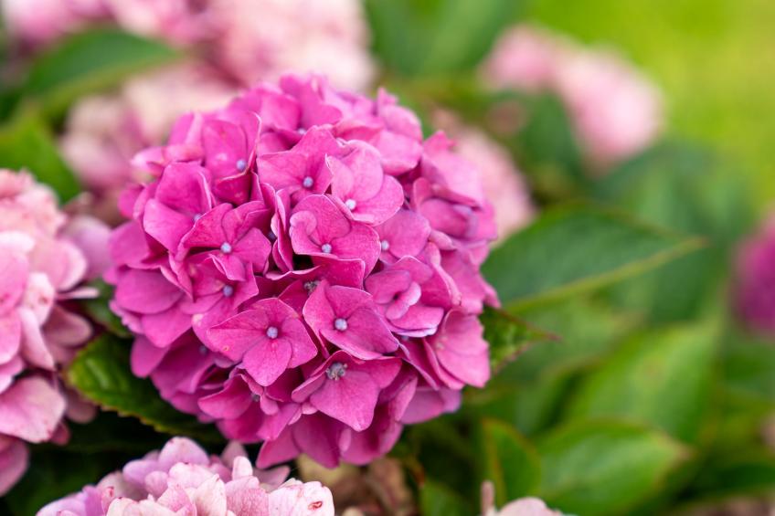 Ferienwohnung Friesenkind - foto 23