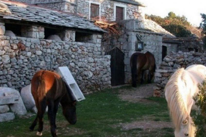 Haus Jakov direkt am Meer - Insel Hvar - foto 54