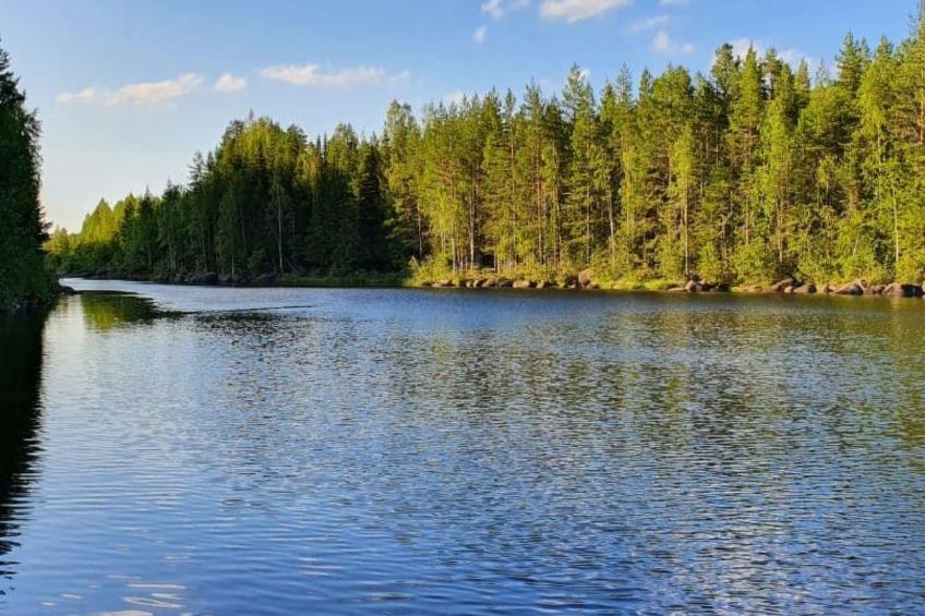 Gemütliches Ferienhaus Angermanland - höga Kusten - foto 57