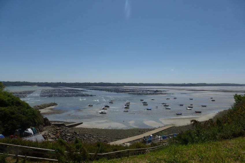 Gîte "Louis" à Plurien - foto 31