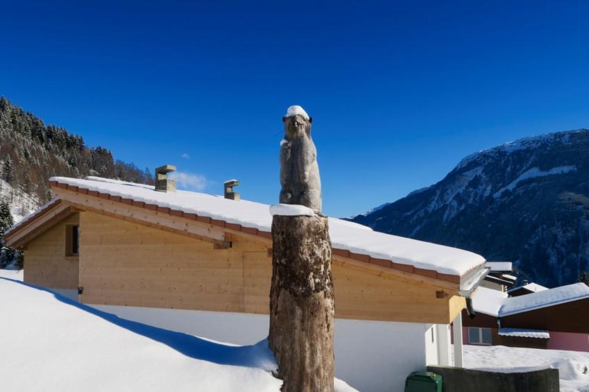 Casa Segnas/Lindt, (Segnas), 1107 - foto 13