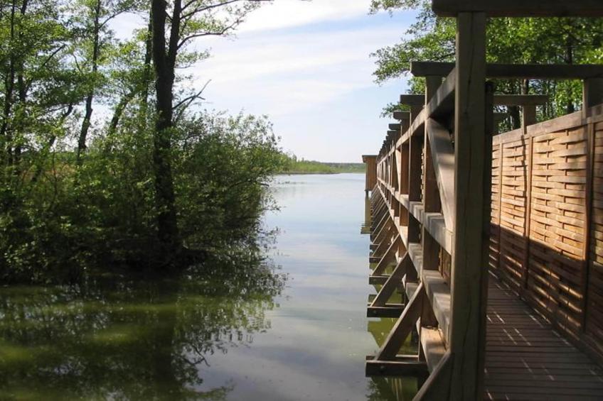 Vakantiedorp am Weinberg, Dobbrikow - Type A - foto 8