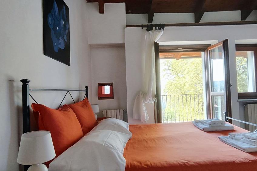 Vergissmeinnicht - foto 3