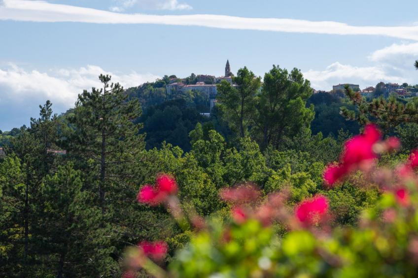 Haus Orange - Familienfreundliche Lage mit Pool - foto 12